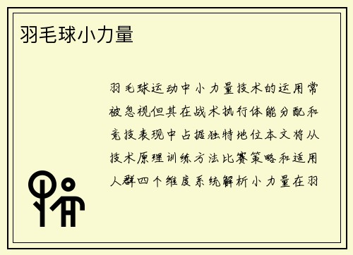 羽毛球小力量